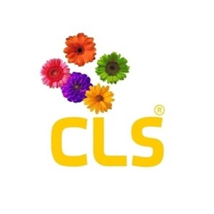 Logo Lasa Sport, C.D.