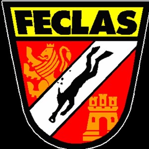 Logo Federación de Actividades Subacuáticas de Castilla y León