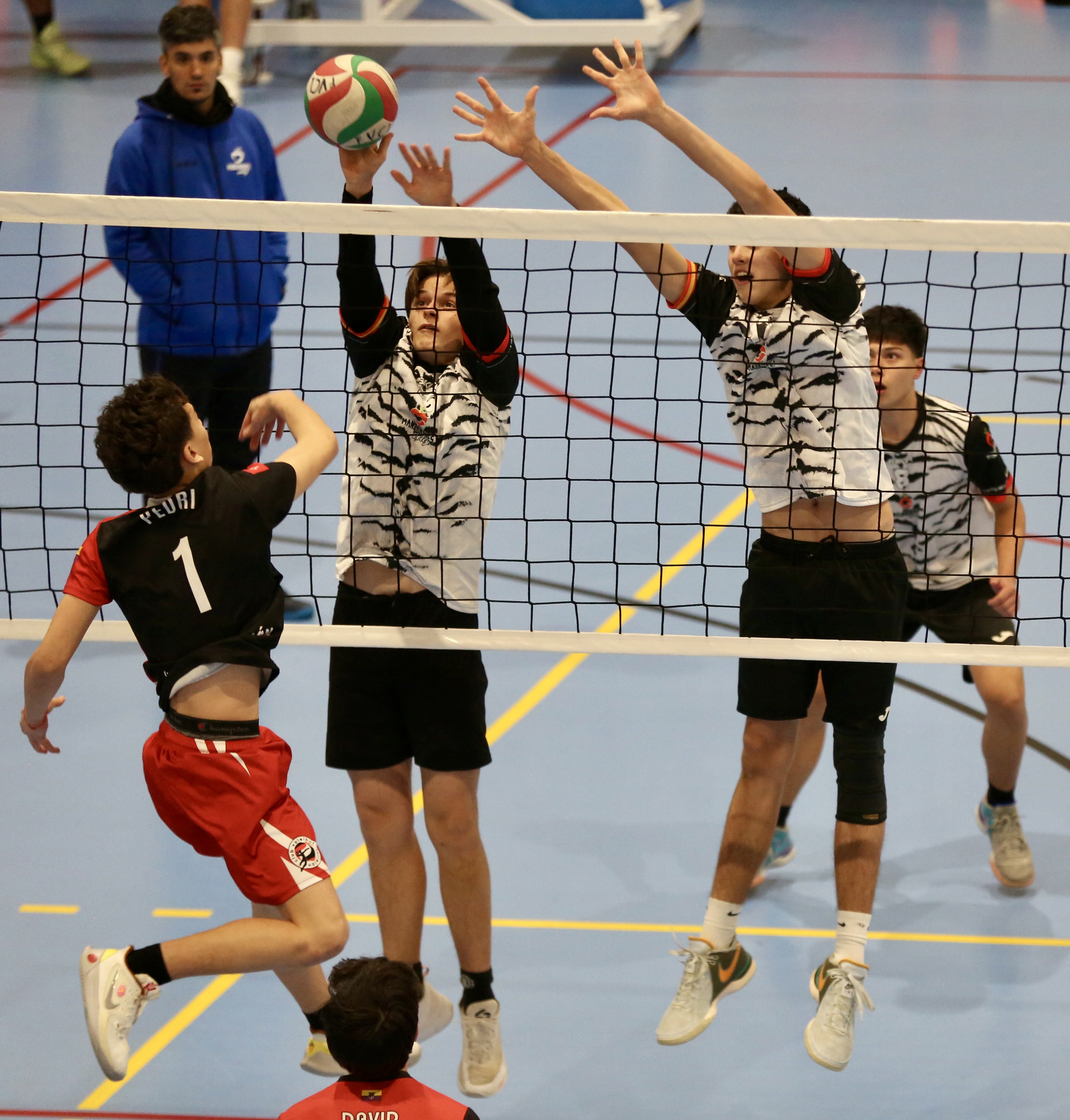 Foto del evento Primera jornada de la Copa de España de voleibol (1)