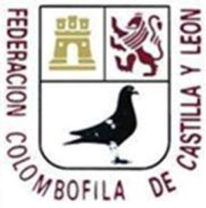 Logo Federación de Colombofilia de Castilla y León