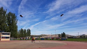 Foto del 2026 GBR F2 & 34 OPEN CIUDAD DE VALLADOLID WORLD CUP DE AEROMODELISMO