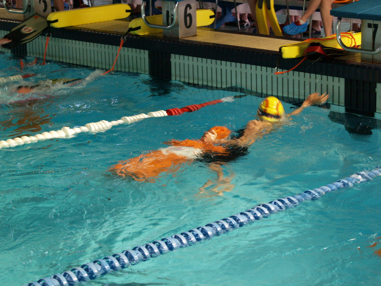 Foto del XIII OPEN DE CASTILLA Y LEÓN DE SALVAMENTO Y SOCORRISMO JUVENIL, JUNIOR Y ABSOLUTO