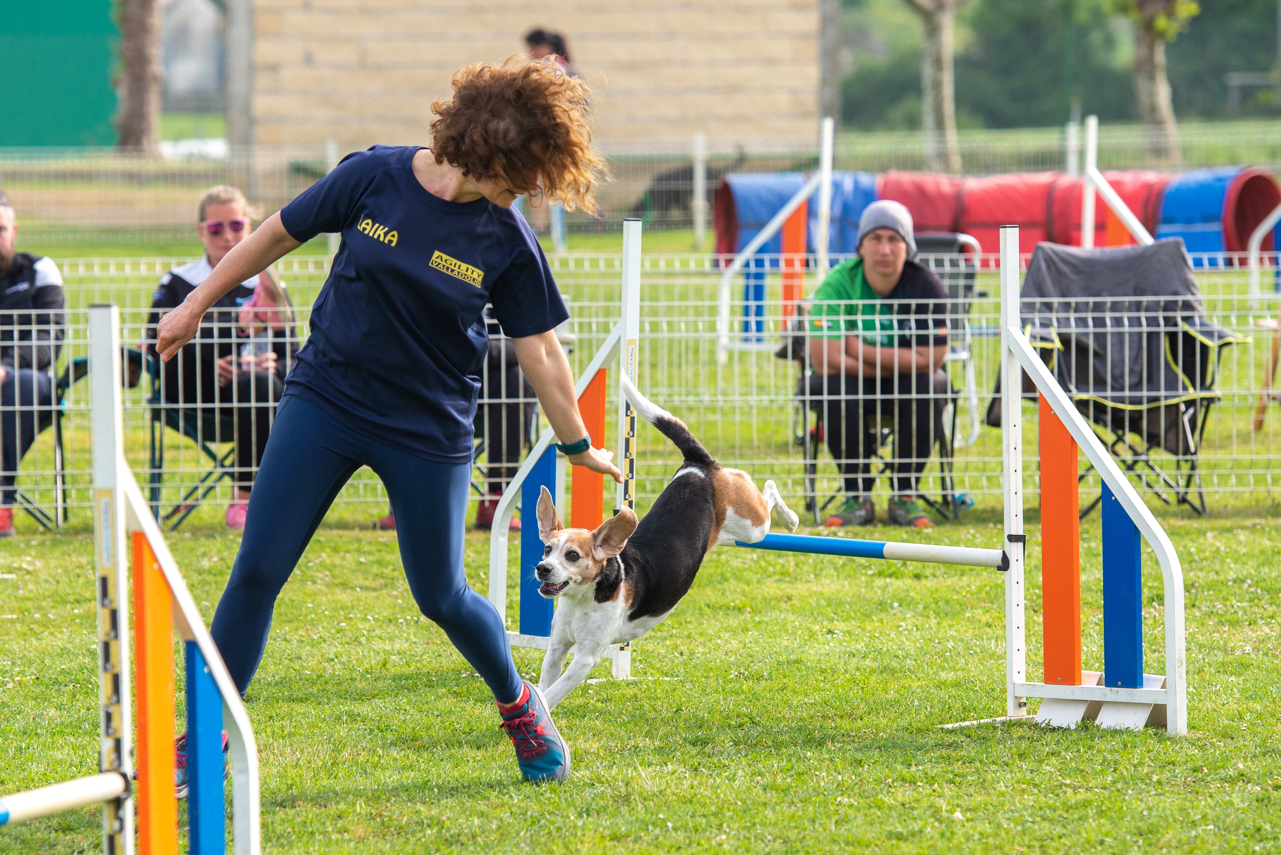 Foto que ilustra la noticia Subvención a entidades deportivas para la realización de actividades deportivas en el año 2024