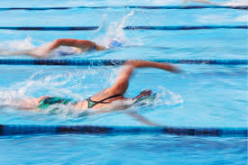 Foto del Campeonato de Castilla y León Absoluto y Júnior de Verano de Natación