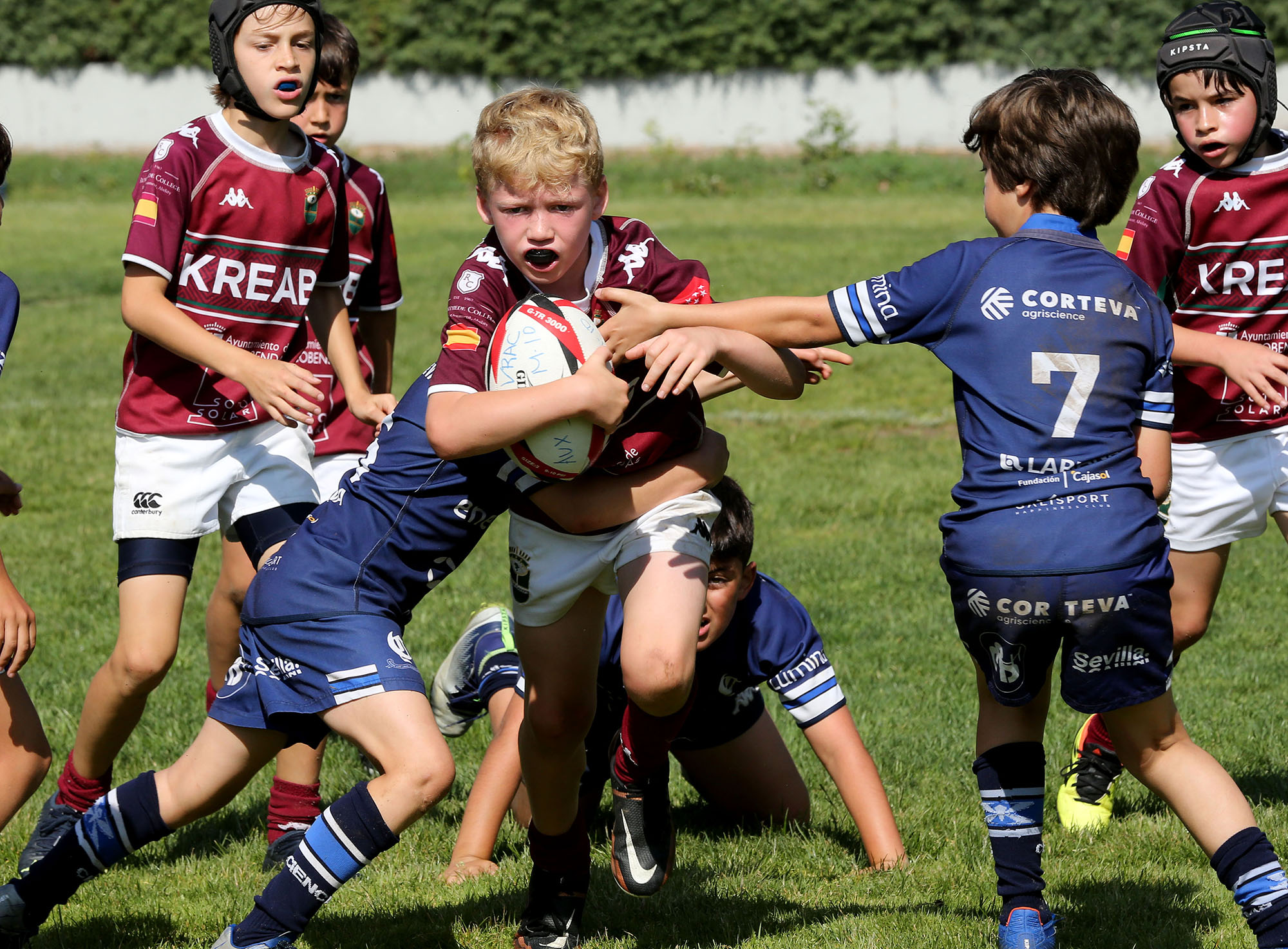 Foto del evento Festival Nacional de Rugby sub6, sub8 y sub10