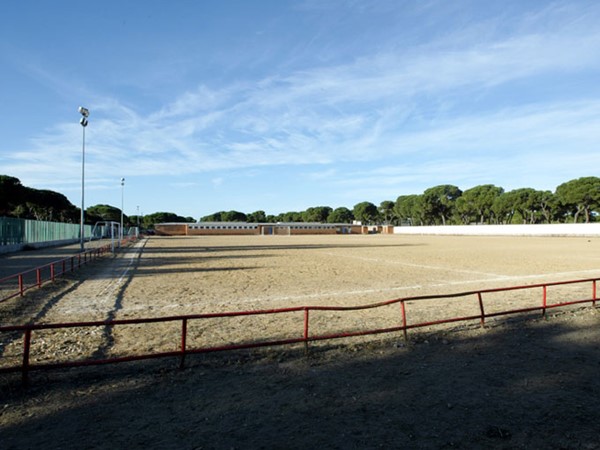 Foto de Campos de Fútbol Pinar de Antequera