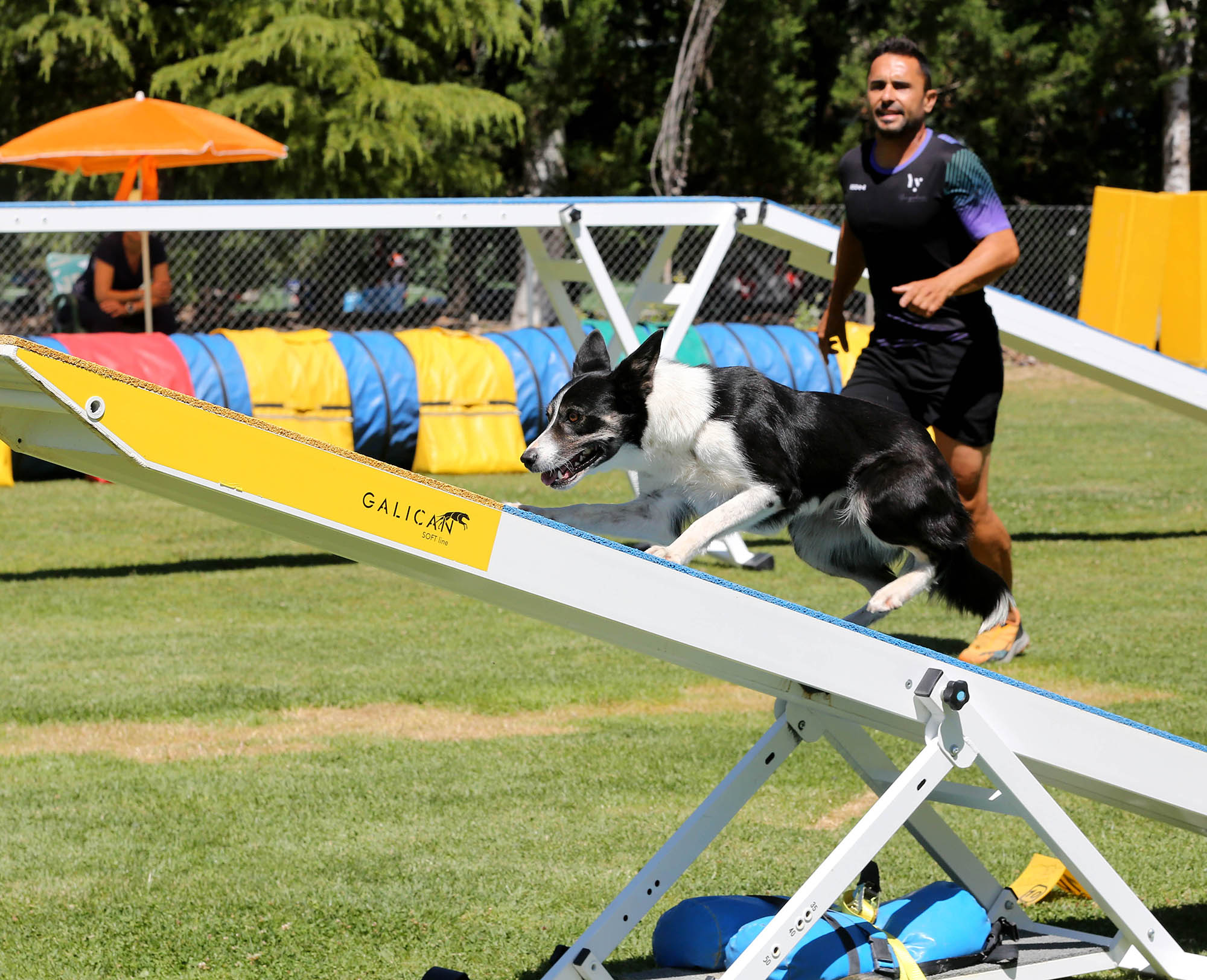 Foto del evento Liga Norte y Open 'Agility'