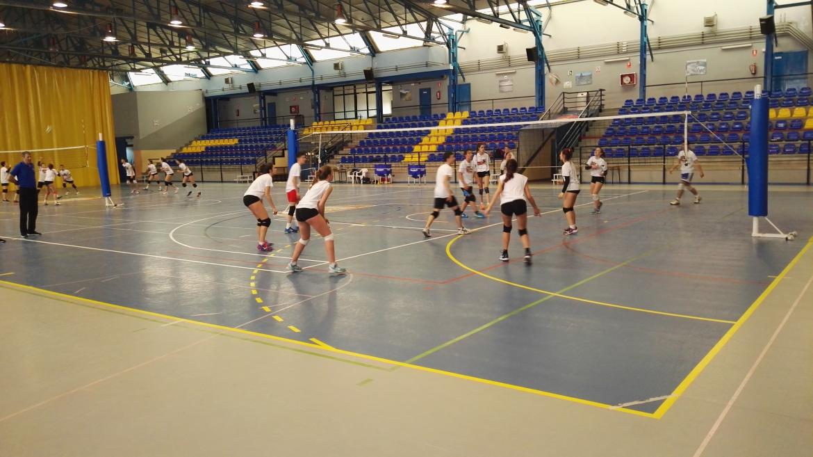 Foto del XXXIV DÍA DEL MINIVOLEY