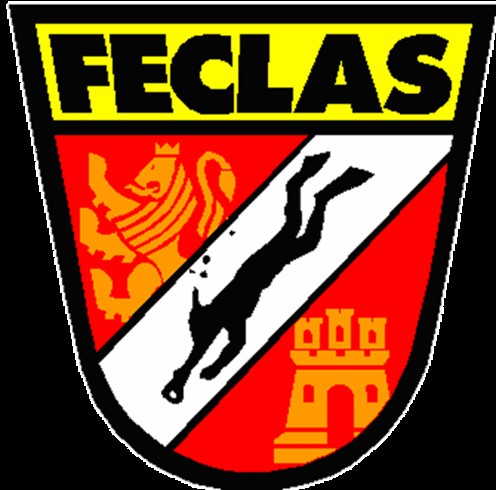 Logo Federación de Actividades Subacuáticas de Castilla y León