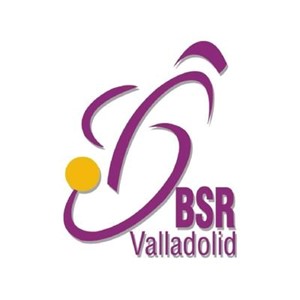 Escudo de la entidad Baloncesto Silla de Ruedas Valladolid, C.D.
