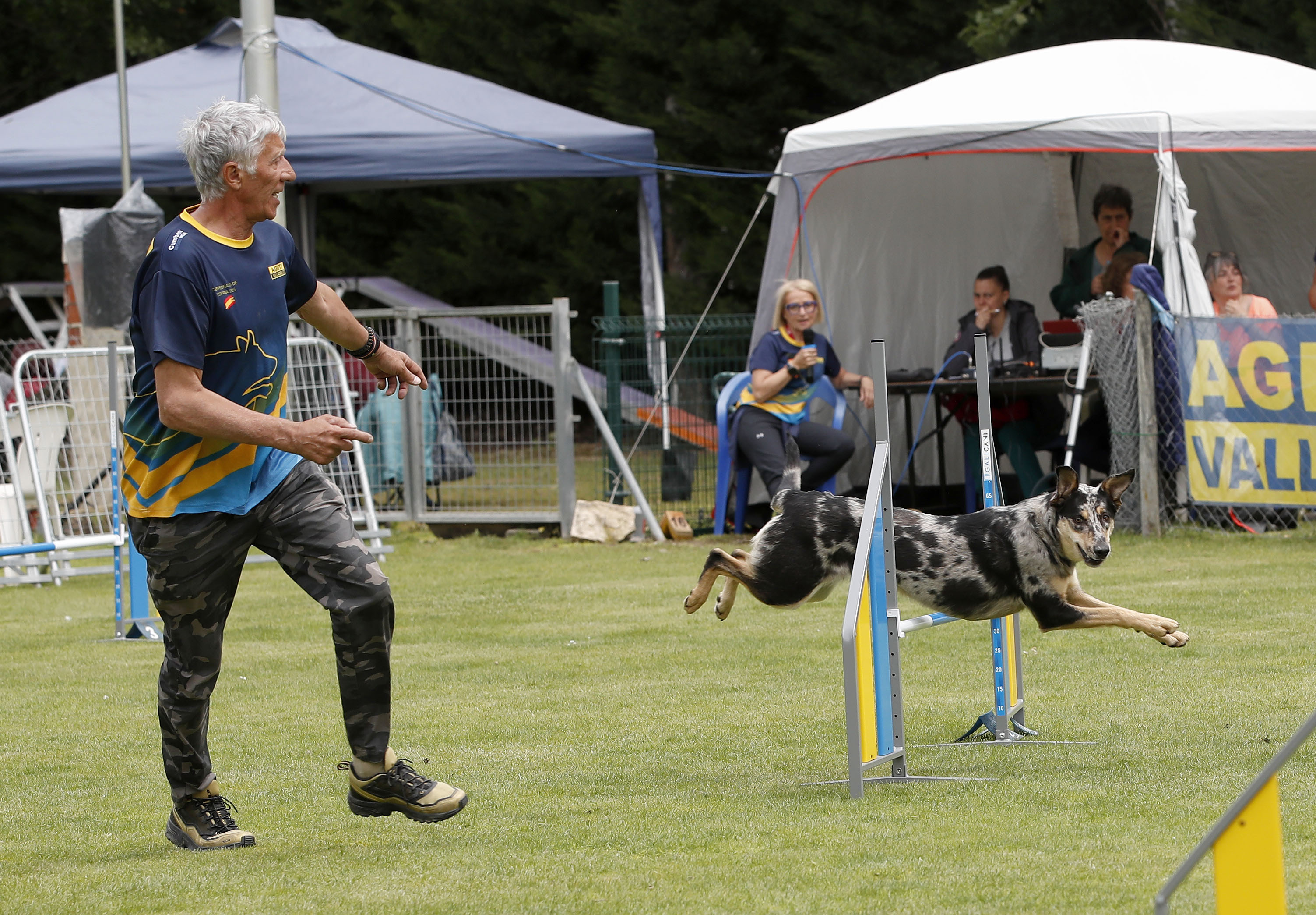 Foto del evento Open Nacional Agility Liga Norte San Pedro Regalado